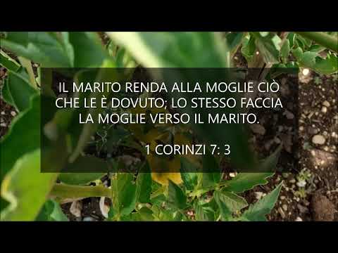 I versi biblici che renderanno il tuo matrimonio unico e indimenticabile