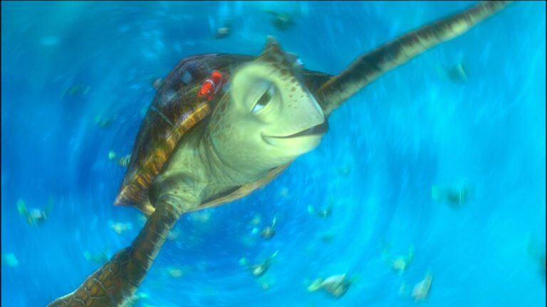 La Tartaruga di Nemo: Scopri il Misterioso Nome in 70 Caratteri!