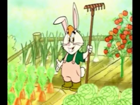 Scopri i semi da piantare per bambini: un’avventura floreale entusiasmante!