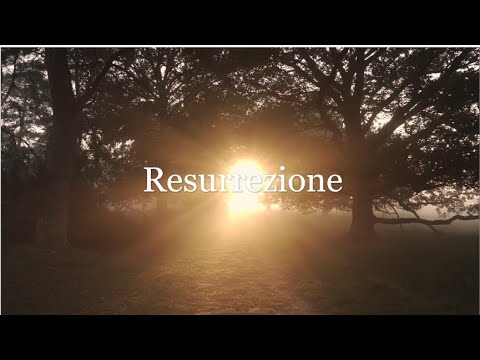 La Resurrezione del Gen Rosso: Lo Spartito Segreto che Riporta in Vita la Musica